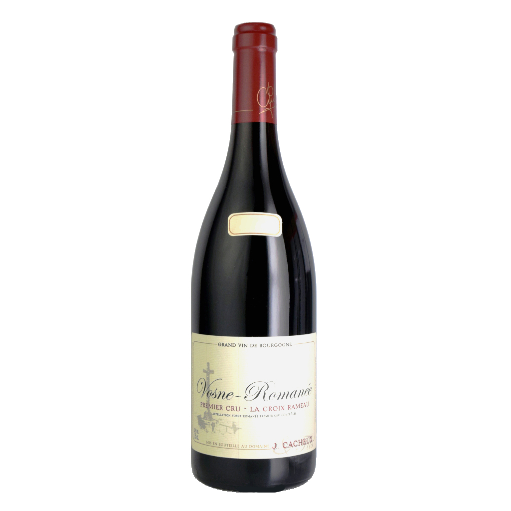 デュジャック 人気 ヴォーヌ ロマネ プルミエ クリュ オー マルコンソール Domaine Dujac Vosne-Romanee 1er Cru  Aux Malconsorts 2011年